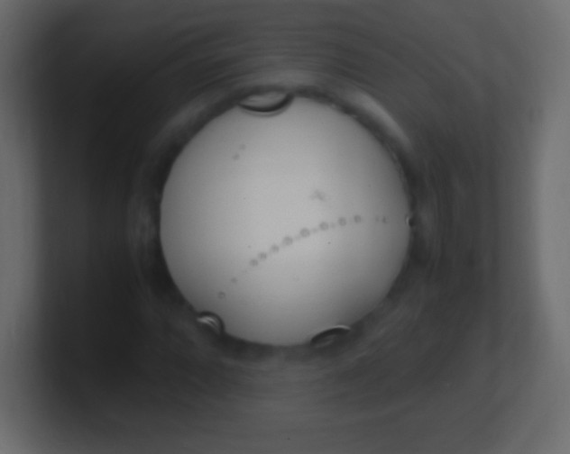 X0000100771064200807031206