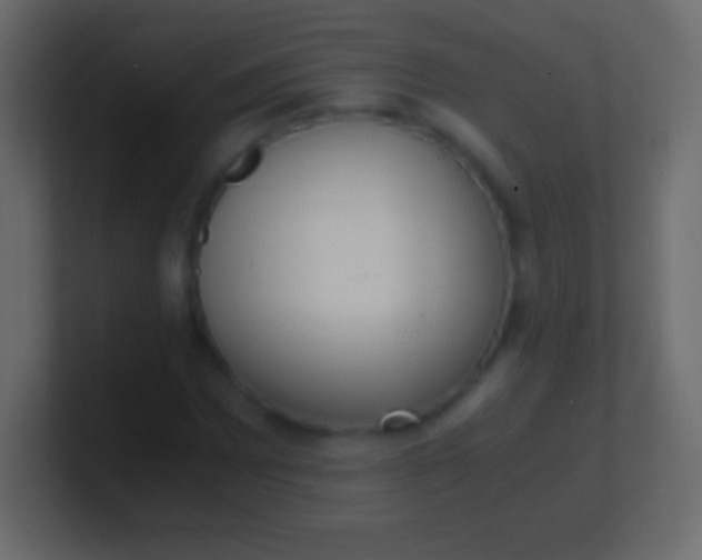 X0000100771065200807031205