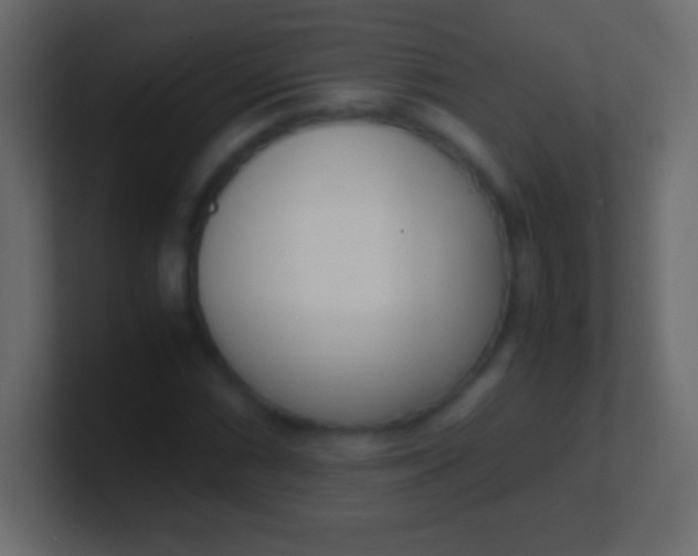 X0000100771066200807031205