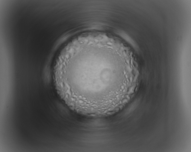 X0000100771067200807031205