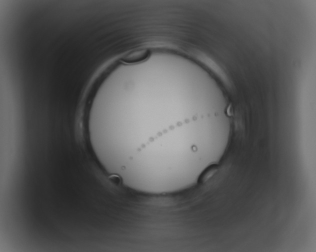 X0000100771068200807031205
