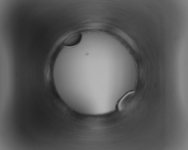 X0000100771069200807031205