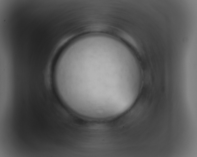 X0000100771071200807031205