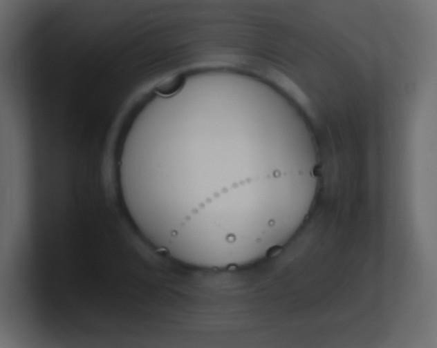 X0000100771072200807031205