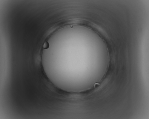 X0000100771073200807031205
