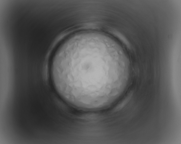 X0000100771075200807031205
