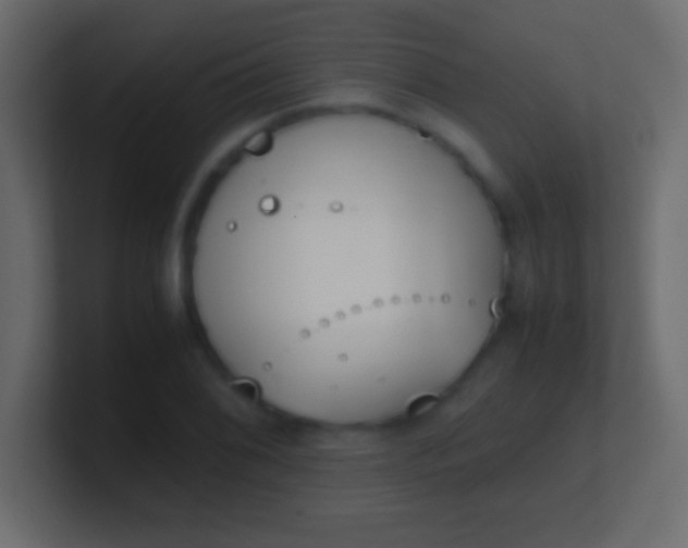 X0000100771076200807031205