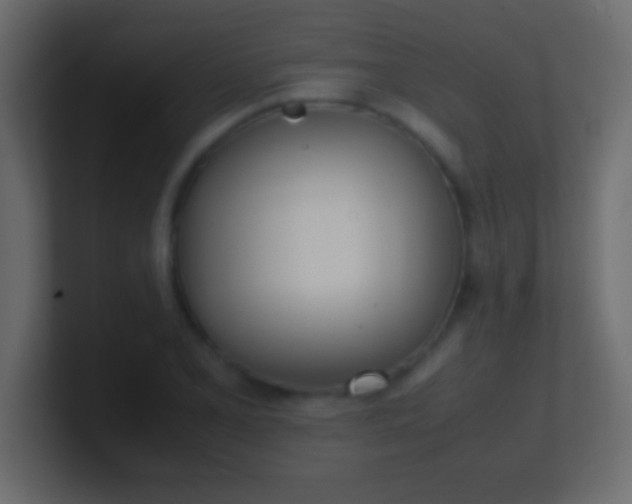 X0000100771077200807031205