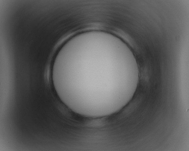X0000100771078200807031205