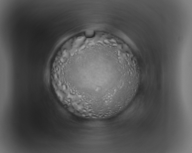 X0000100771079200807031205