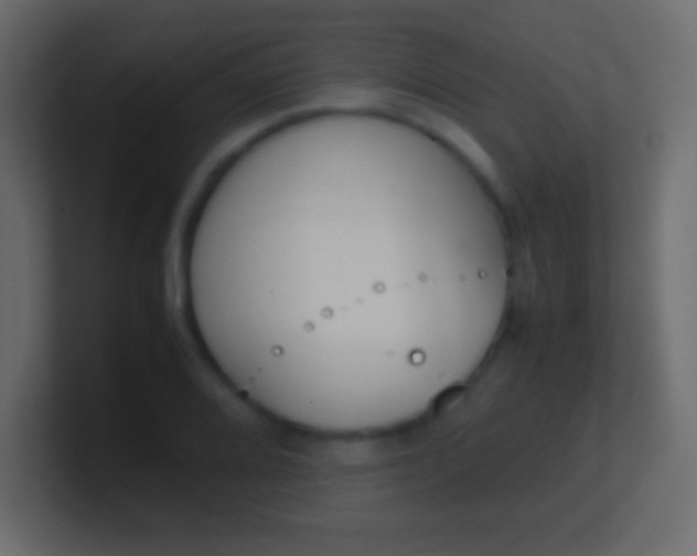 X0000100771080200807031205