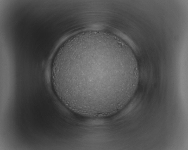 X0000100771083200807031205
