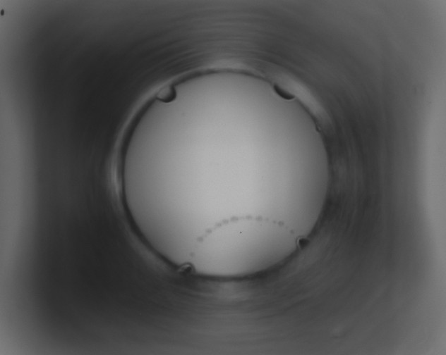 X0000100771084200807031205