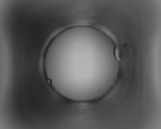 X0000100771085200807031205