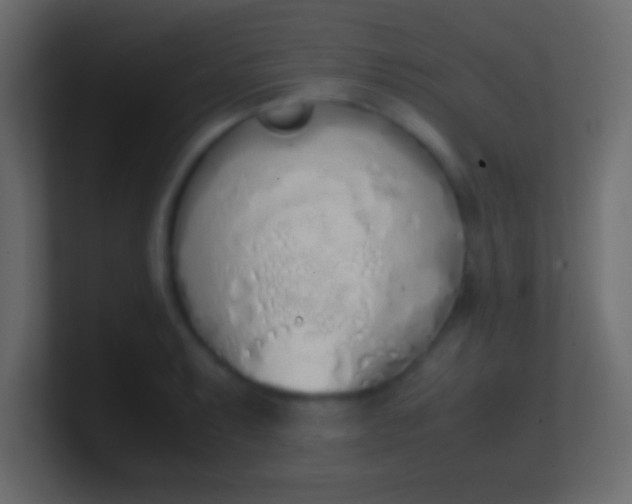 X0000100771087200807031205