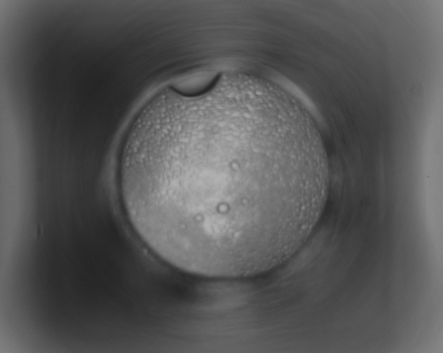 X0000100771091200807031205