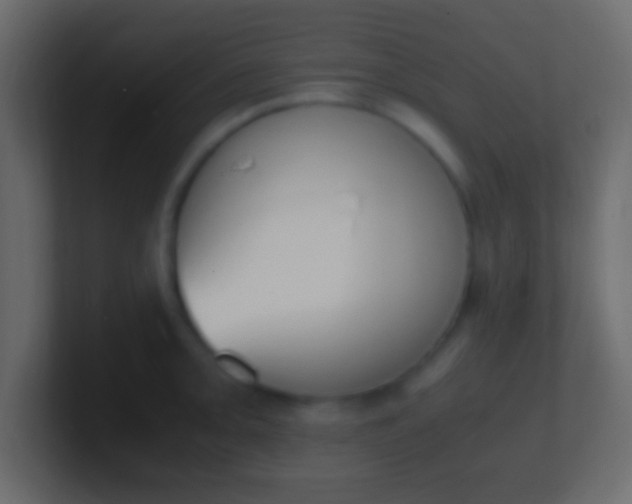X0000100771093200807031205