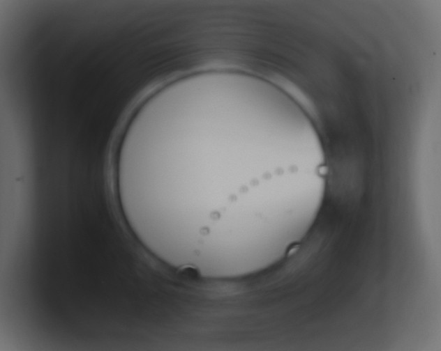 X0000100771096200807031205