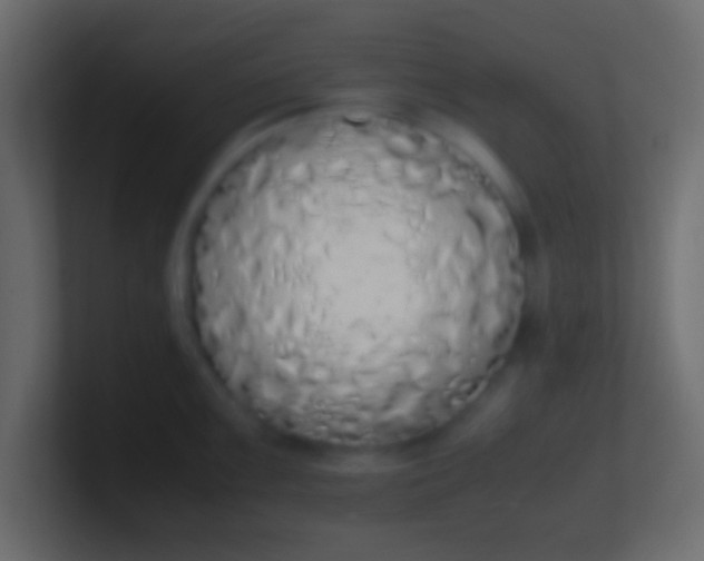 X0000100771099200807031205