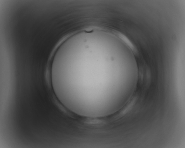 X0000100771100200807031205