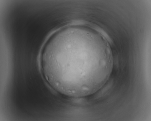 X0000100771103200807031205