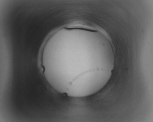 X0000100771104200807031205