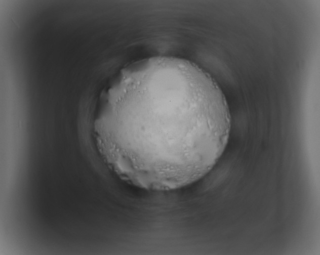 X0000100771105200807031204