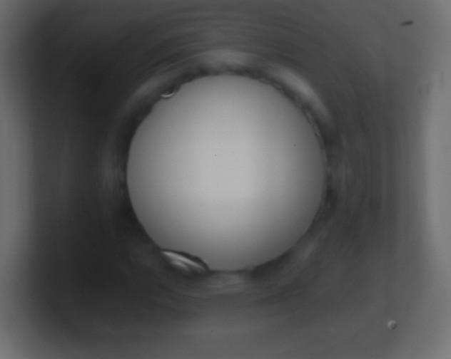 X0000100771112200807031204