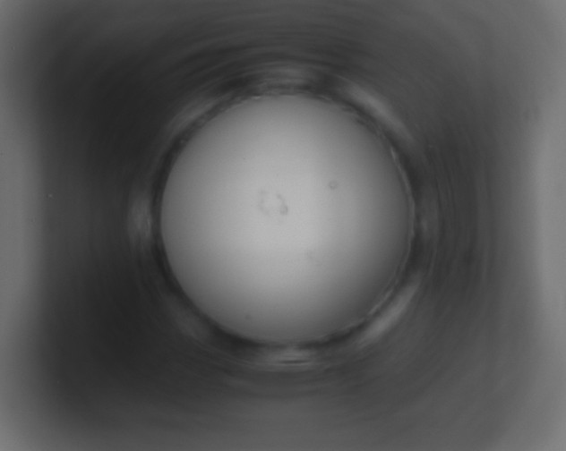 X0000100771113200807031204