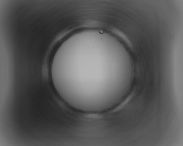 X0000100771114200807031204