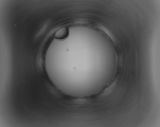 X0000100771115200807031204