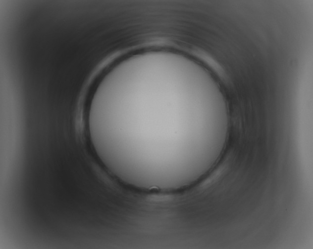 X0000100771118200807031205