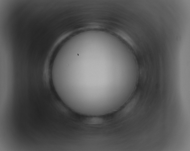 X0000100771119200807031205