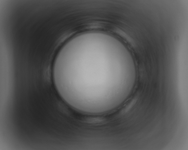X0000100771121200807031205