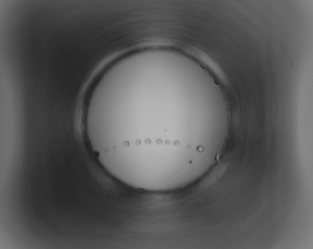X0000100771124200807031205