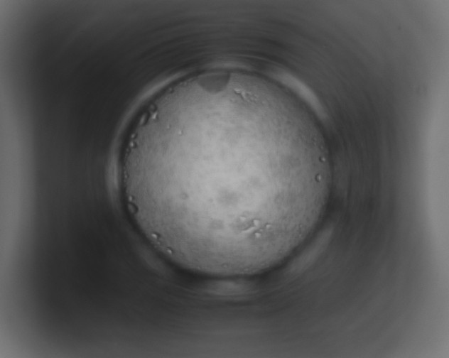 X0000100771125200807031205