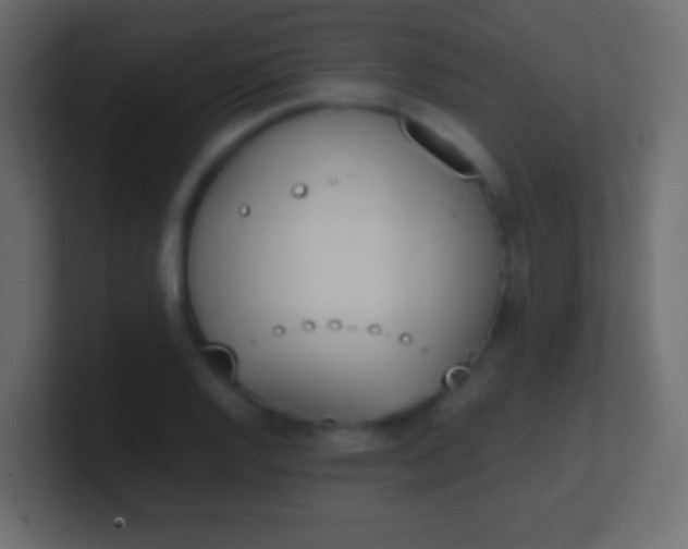 X0000100771128200807031205