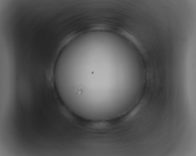 X0000100771129200807031205