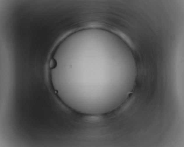 X0000100771134200807031205