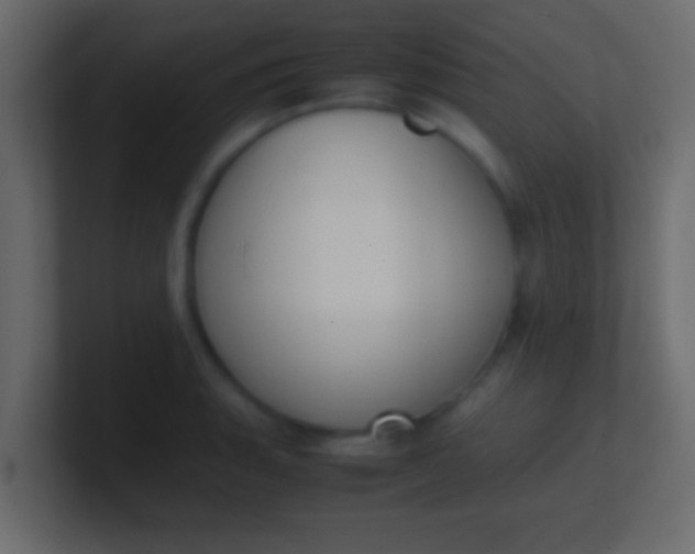 X0000100771135200807031205