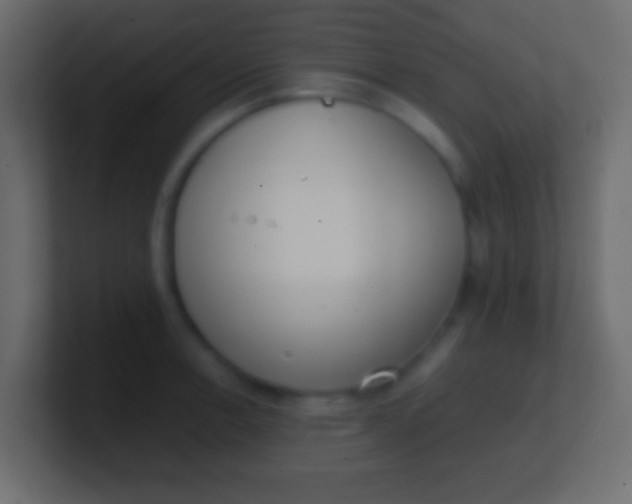 X0000100771138200807031205