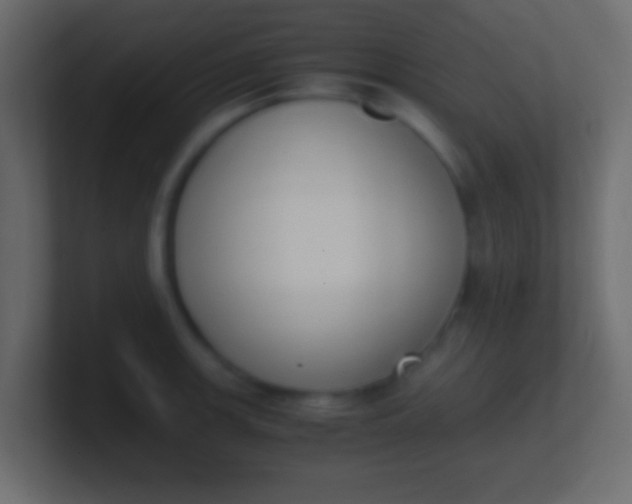 X0000100771139200807031205