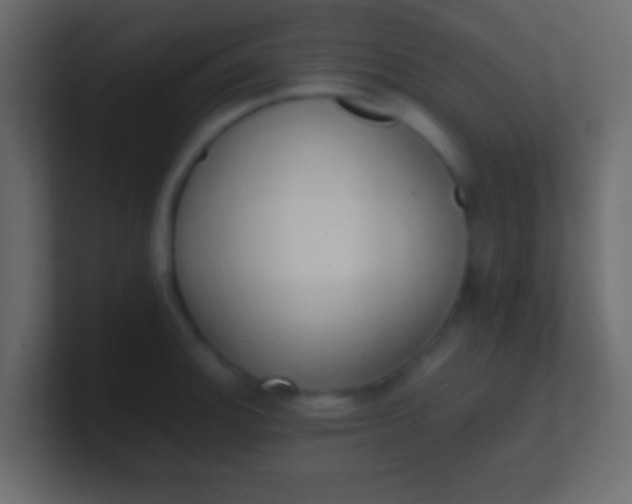 X0000100771140200807031205