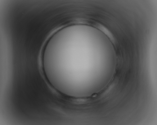 X0000100771141200807031205