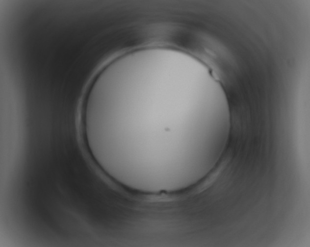 X0000100771142200807031205