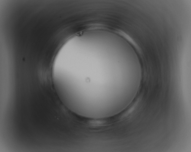 X0000100771145200807031205