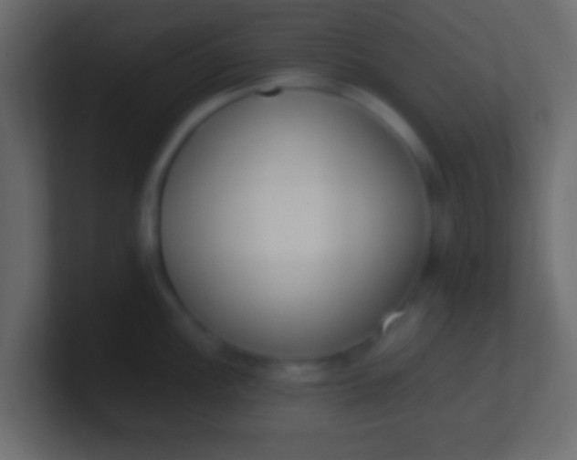 X0000100771148200807031205