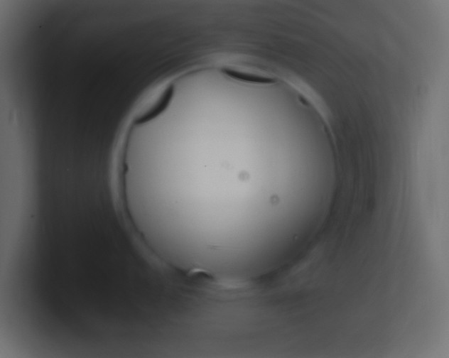 X0000100771152200807031205