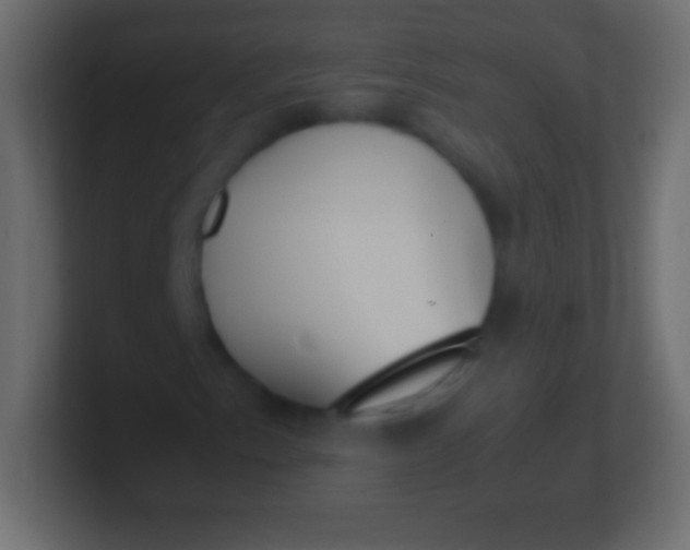 X0000100771153200807031204