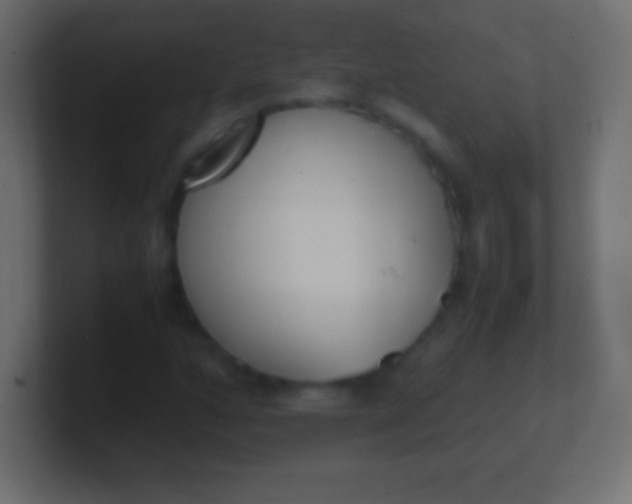 X0000100771160200807031204